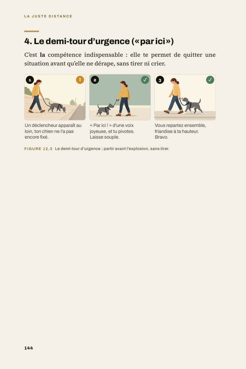 Page intérieure illustrée : le demi-tour d'urgence, pas à pas