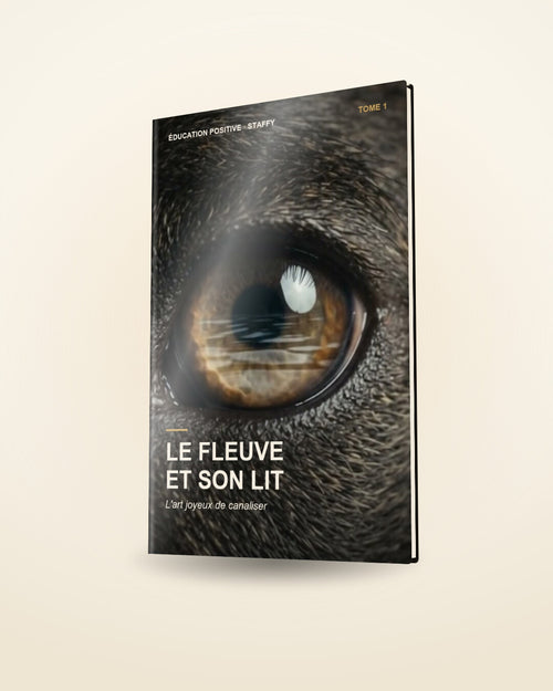 Le Fleuve et son Lit, Tome 1 : livre d'éducation positive pour chien adolescent, rendu 3D de la couverture