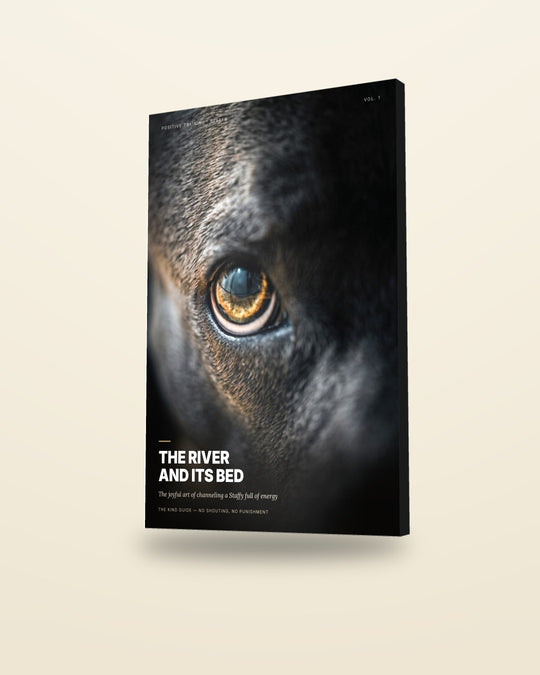 The River and Its Bed, Book 1: 3D cover render