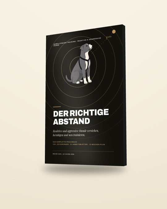 Der richtige Abstand, Band 3: 3D-Rendering des Covers