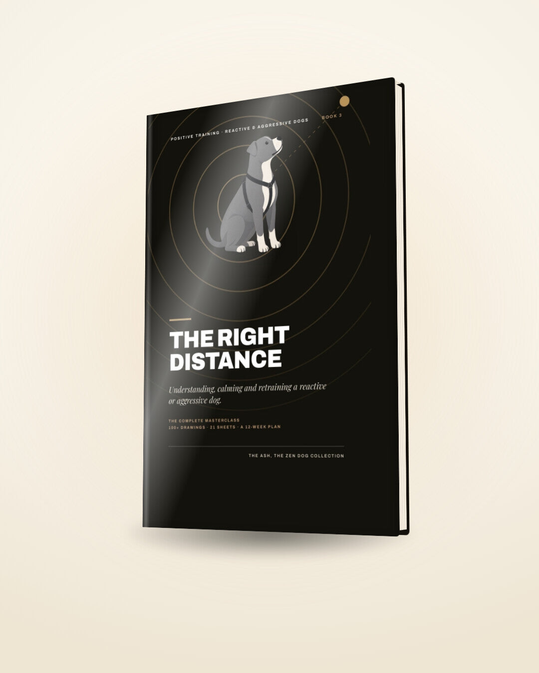 The Right Distance, Book 3: a guide for reactive or aggressive dogs, 3D cover render