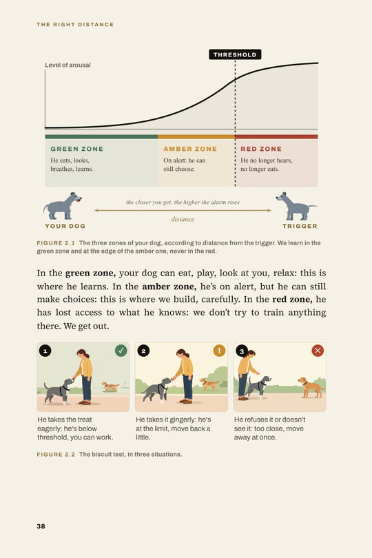 The Right Distance: the threshold and the three zones, illustrated