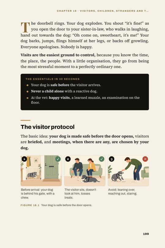 Welcoming visitors without drama