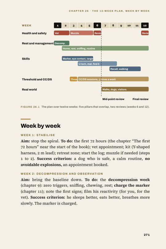 The Right Distance: the 12-week plan calendar