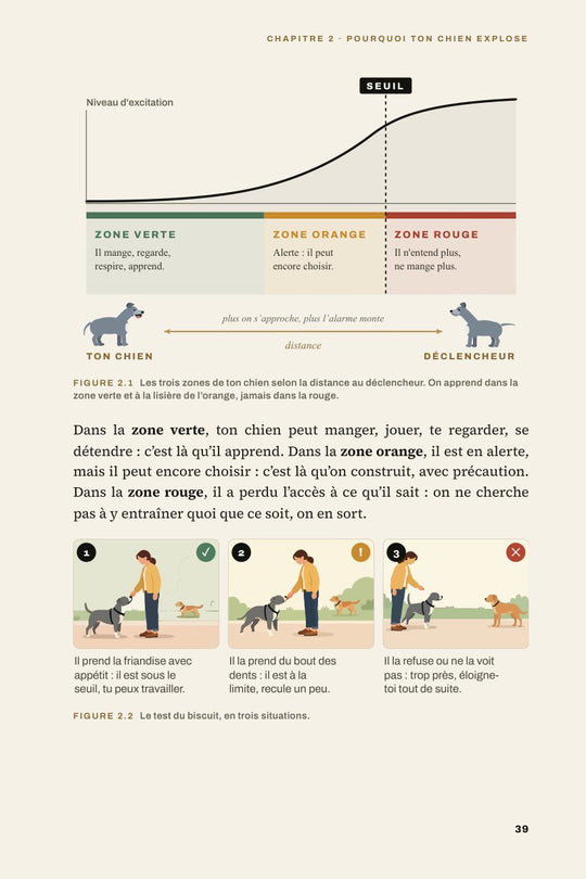 La Juste Distance : le seuil et les trois zones, illustré