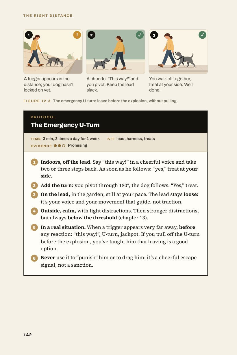 Illustrated inside page: the emergency U-turn, step by step