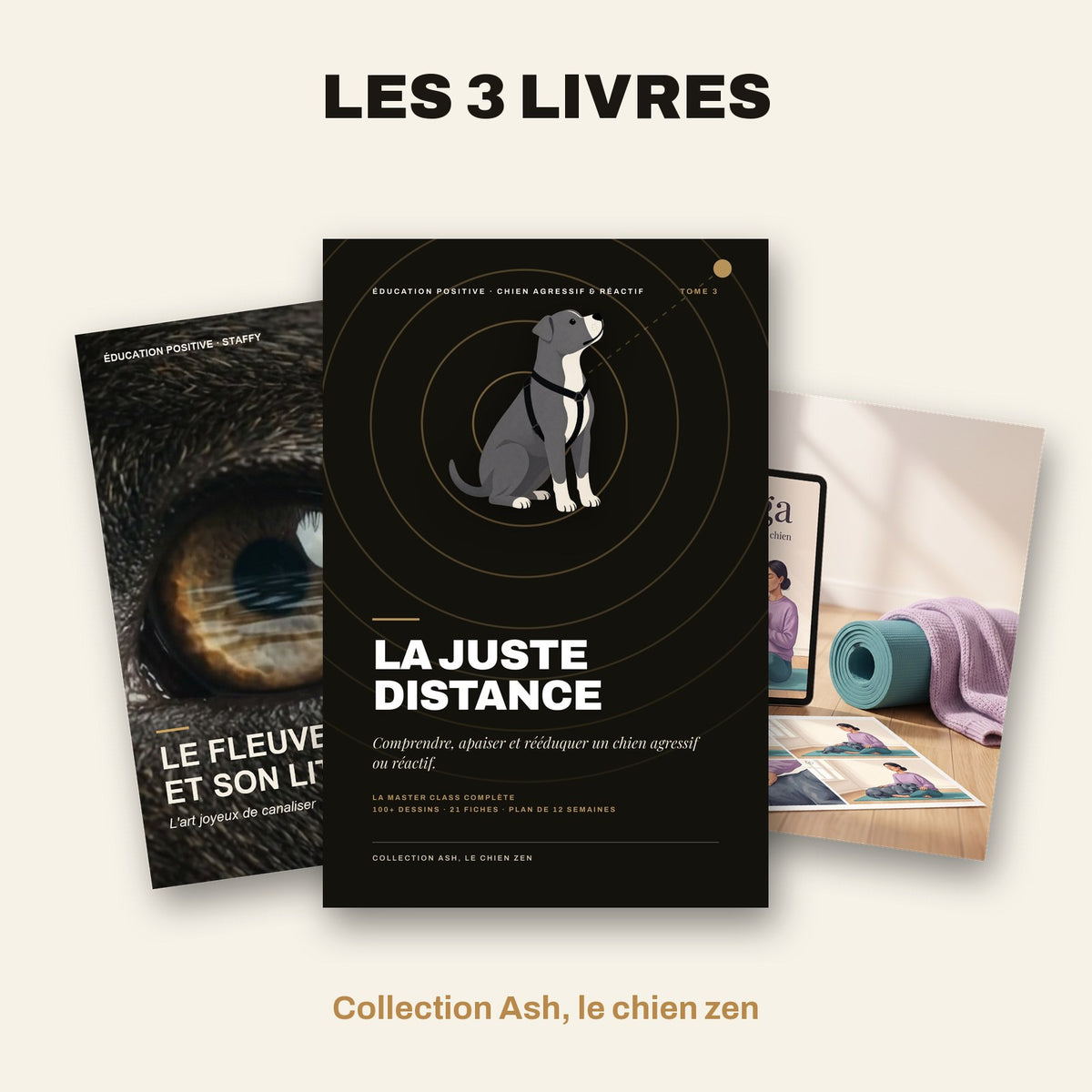 Les 3 livres de la collection Ash, le chien zen