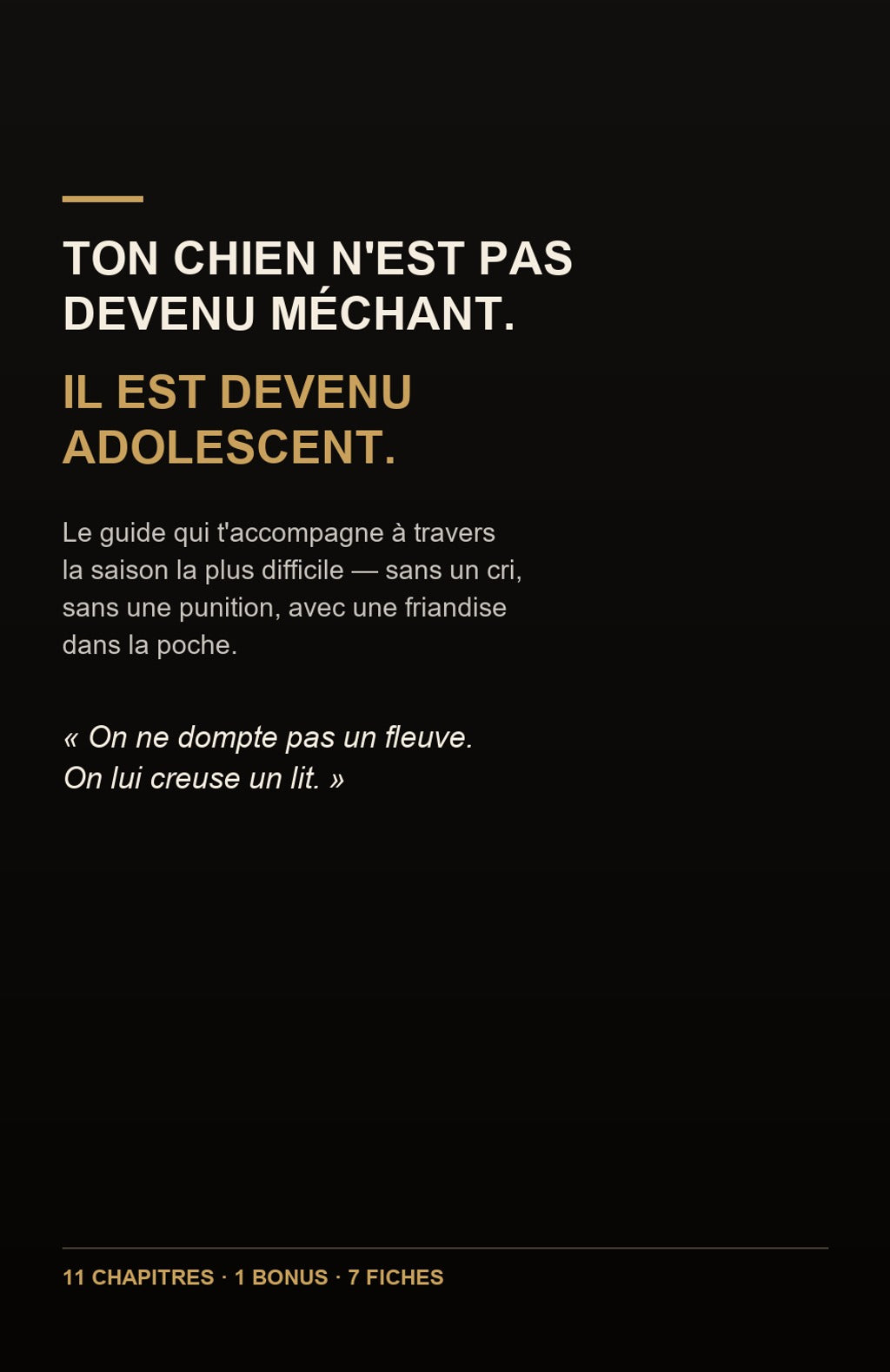 4e de couverture : ton chien n'est pas devenu méchant, il est devenu adolescent. 11 chapitres, 1 bonus, 7 fiches