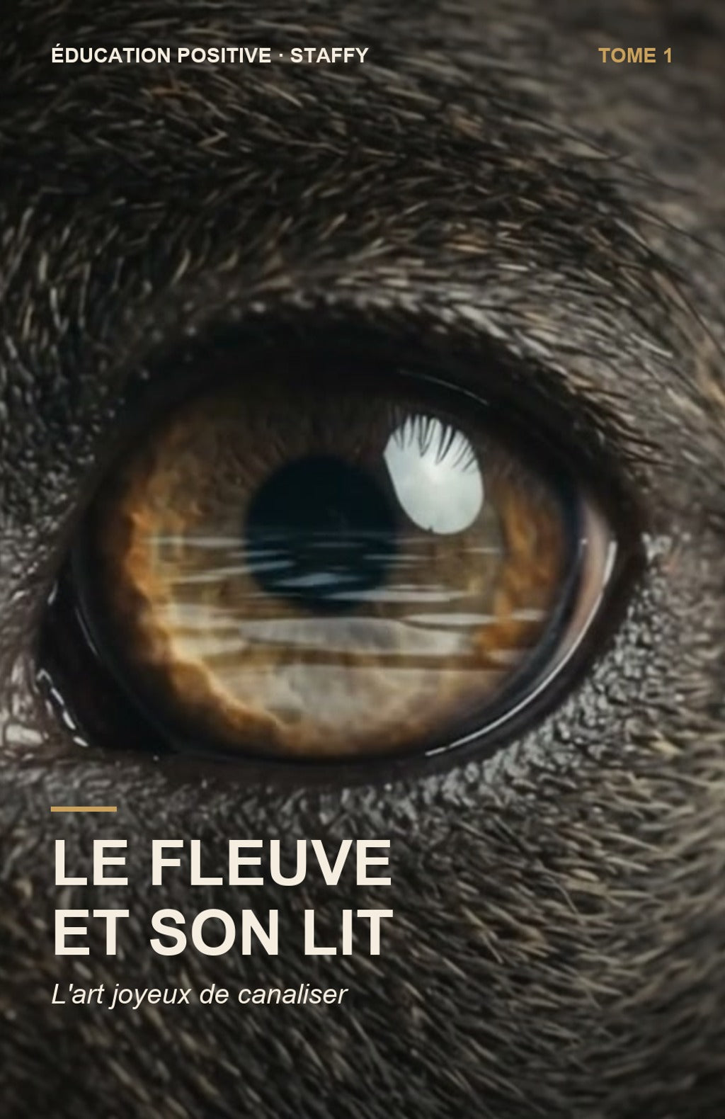 Couverture du livre Le Fleuve et son Lit, Tome 1 : l'art joyeux de canaliser son chien ado