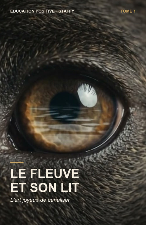 Couverture du livre Le Fleuve et son Lit, Tome 1 : l'art joyeux de canaliser son chien ado